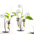 Literary Iron Hydroponics Plant Vase and Water culture glass vase and crafts For Desktop Decoration